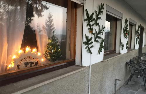 Mainzimmer Business Appartment - Monteurwohnung mit Burgblick - Foto 10