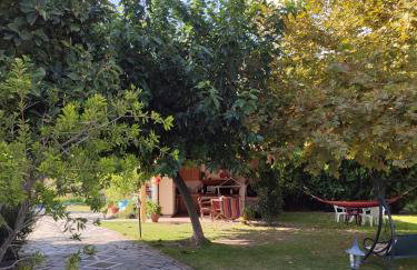 Η Αυλή - Photo 6