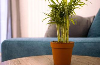 Song House Apartment centro storico 7 pax - Foto 22