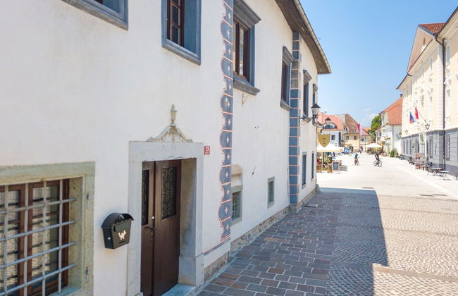 Vila Radolca Apartments and Rooms - Foto 44