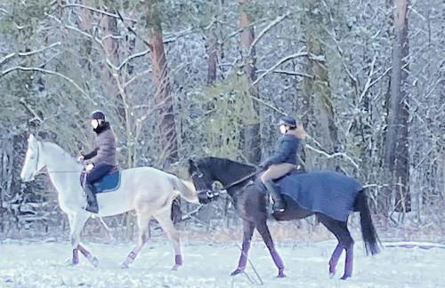 Studio im Haus Amselgarten - Foto 38