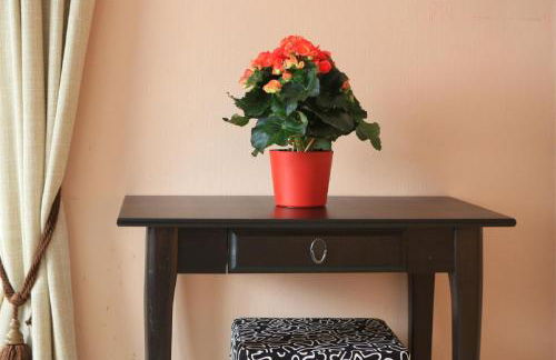 Ferienwohnungen Gästehaus Sonnenkreis - Foto 29