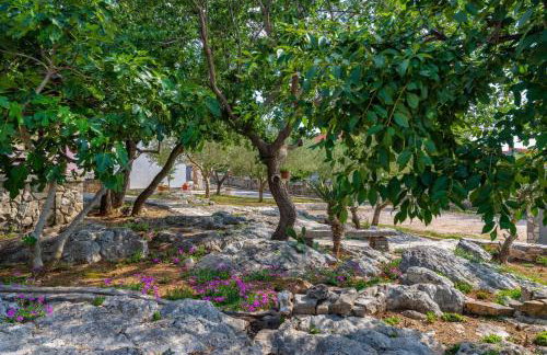 Villa Eagle - Photo 64