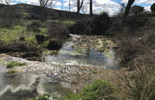 Los Cipreses de Mesones - Foto 44