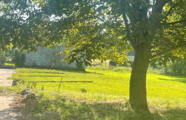 Pension Gut Runge - Foto 12