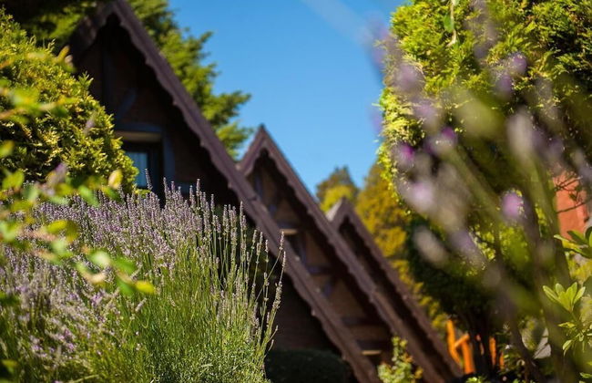 Cabañas Antilhue - Foto 15