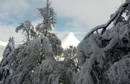 Nid cozy au Lioran - Foto 16