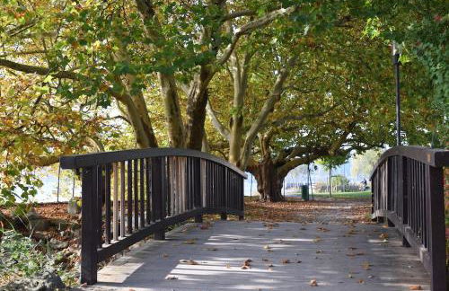 Haus Bodanblick - Foto 17