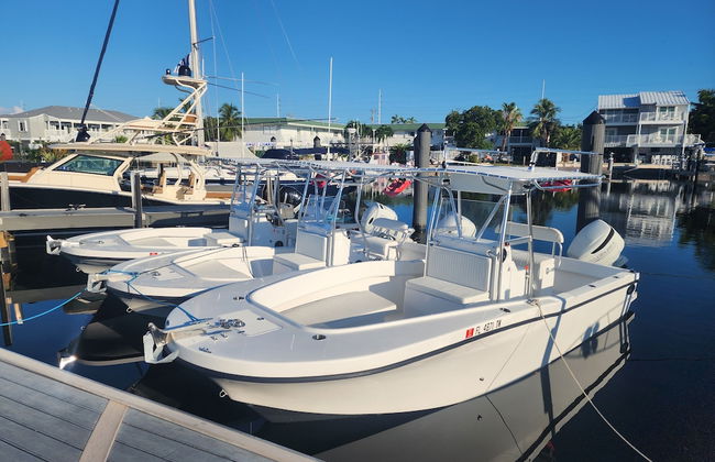 Yacht Haven Marina - Foto 13