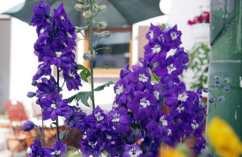 3 Seiten Ferienwohnung - Foto 20