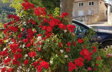 Gîte Les Gorges du Tarn - Photo 11