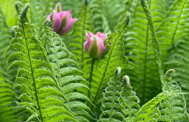 Zuhäusl am Chiemsee Appartements - Foto 67