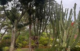 Linda chácara pertinho de SP - Foto 9