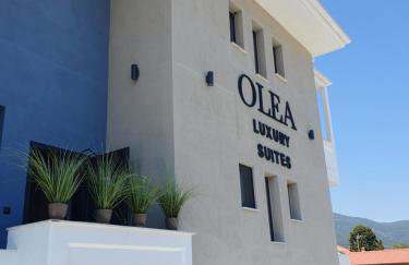 Olea Luxury Suites - Photo 73