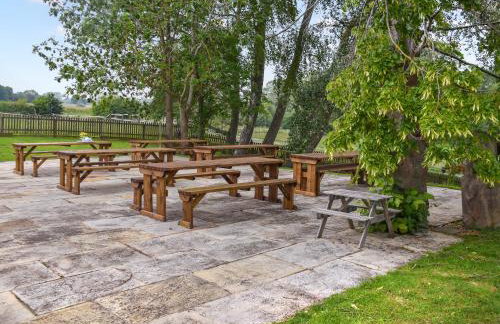 Lily Pad 9 - Uk43919 - Foto 21