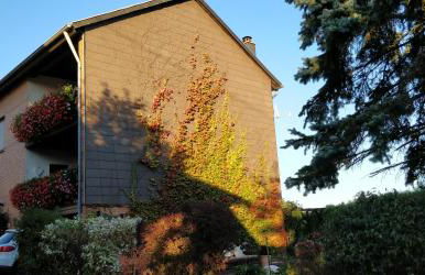 Ursula's Ferienwohnung - Foto 3