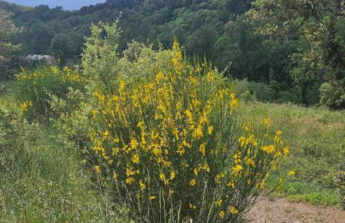 Masia Cal Fuster - Foto 42