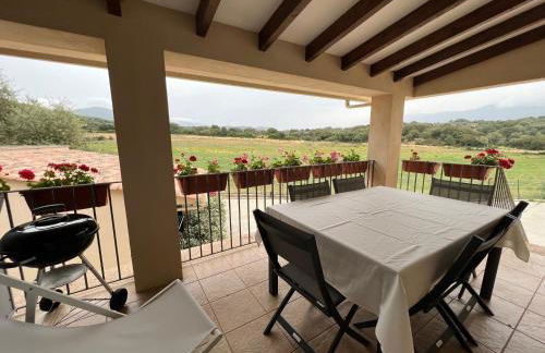 Résidence Casa Cintrone - Foto 4