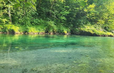 La Casa de la Vega - Foto 45