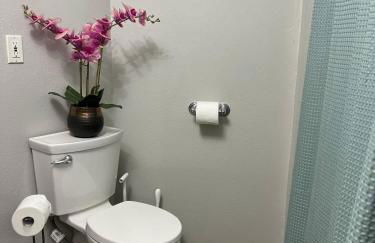 Unique Waterfront Cottage 34 Mi To Mt Rainier - Foto 7