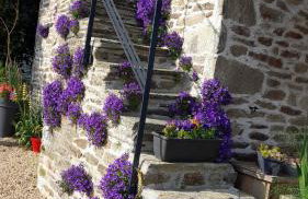 Maison An Ty Göal - Foto 29