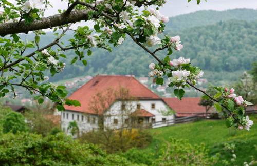 Ferienwohnung "Kräuterhof" - Foto 30