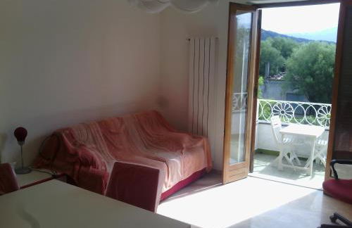 Il nespolo - Photo 2