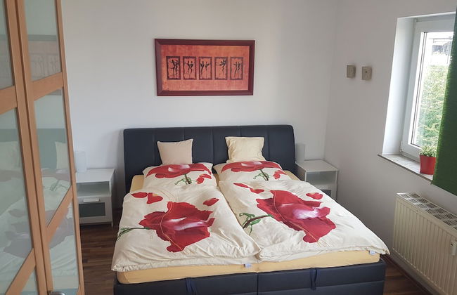 Großzügiges Zweiraumapartment Troisdorf - Foto 3