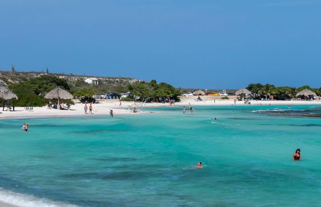 South Aruba Guided Tour - Foto 8