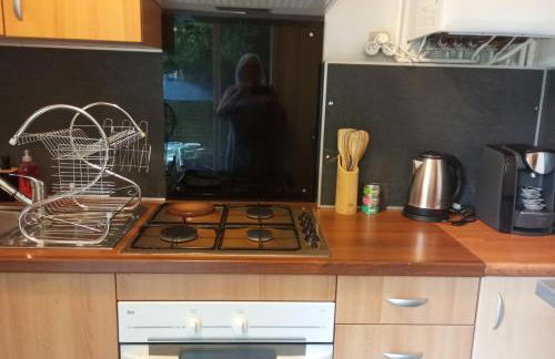 Appartement hyper centre 1 lorient Jardin clos - Foto 13