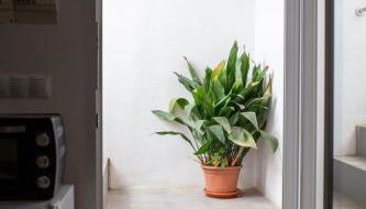 La bodega de la Yaya - Foto 5