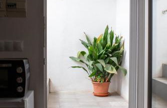 La bodega de la Yaya - Foto 5