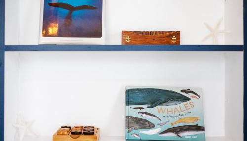 NEW Whaler Inn- Nautical Magic Hilo Downtown - Foto 4