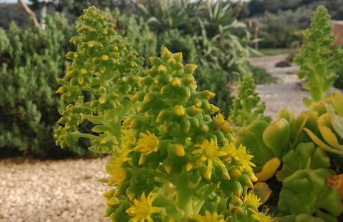 Dependance Pavoncella - Foto 34