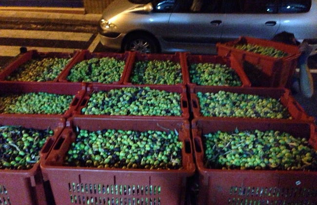 Agriturismo Fontanelle - Foto 69