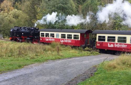 Holiday Apartment Haus Bodefurt - Apartment 2 - Foto 36