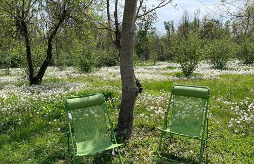 Beinalot Country House - Foto 8