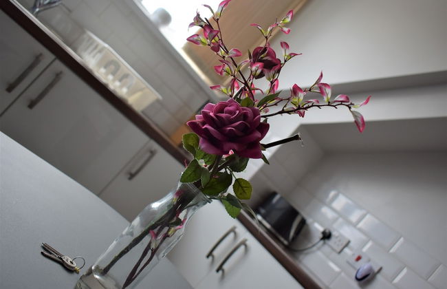 Argyle Apartments - Photo 43