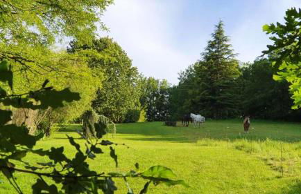 Maison charmeur avec jardin à Puy-l'Évêque et piscine partagée - Foto 19