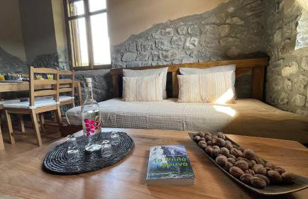 ΠΕΤΡΑΣΤΕΡΟ Canyon Retreat-Agrafa - Photo 6