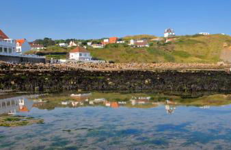 Le chou marin, charmante maison de plain-pied proche d'Audresselles & du Cap gris nez - Foto 13