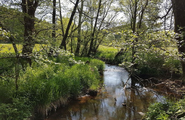 Ruhlen: Schneifel Escape - Photo 28