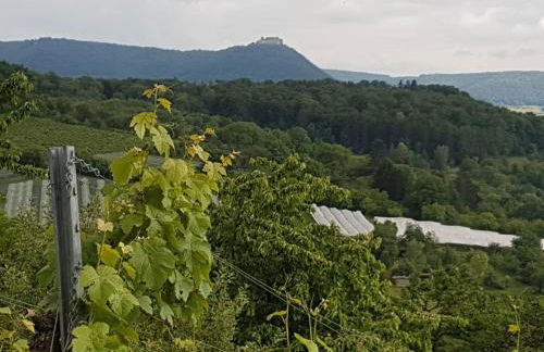 Ferienwohnung Burgblick im Neuffener Tal mit Sauna und Wallbox - Foto 46