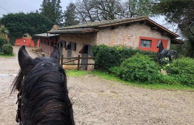 Tenuta I Mandorli - Foto 32