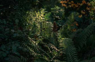 Przystanek Zielnik - Foto 34