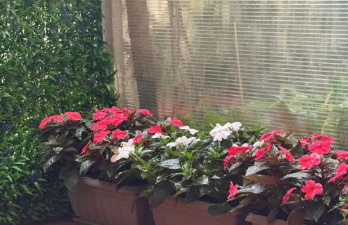 Casa di Zitti - Photo 32