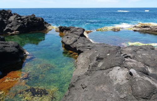 Casa Dos Mosteiros - Foto 47