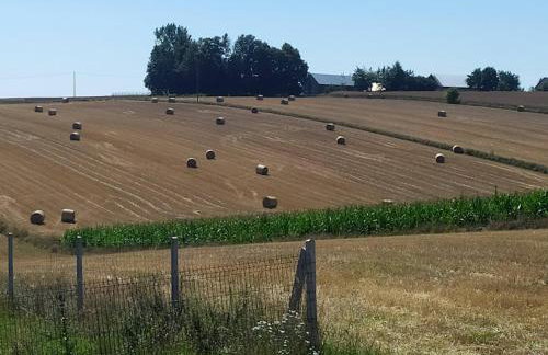 Panorama Racławicka Domek Willa Basen Agroturystyka - Foto 8