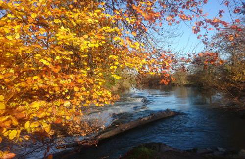 Blaenfforest Rose Cottage Newcastle Emlyn - Photo 20