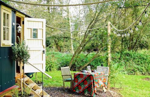 The Beech Hut - Photo 6